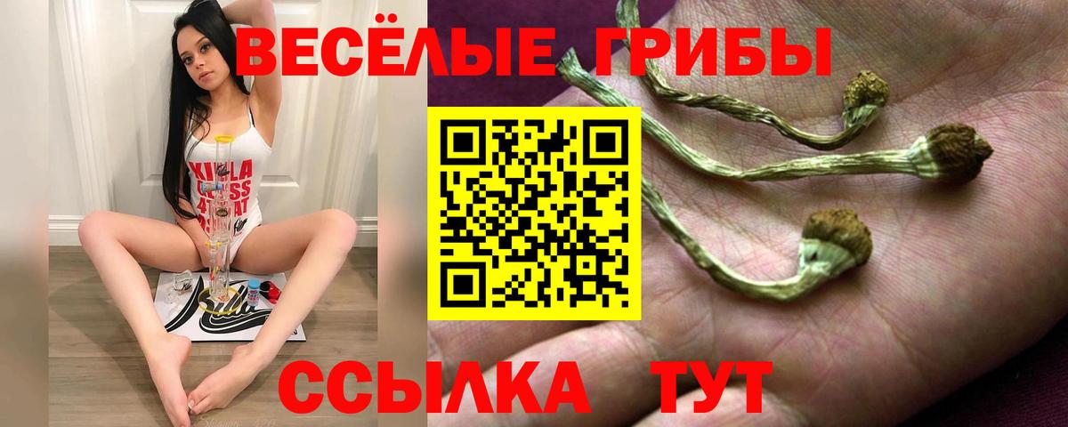 Донской  Псилоцибиновые грибы MAGIC MUSHROOMS  магазин продажи наркотиков  Вход с VPN  Галлюциногенные грибы Cubensis 